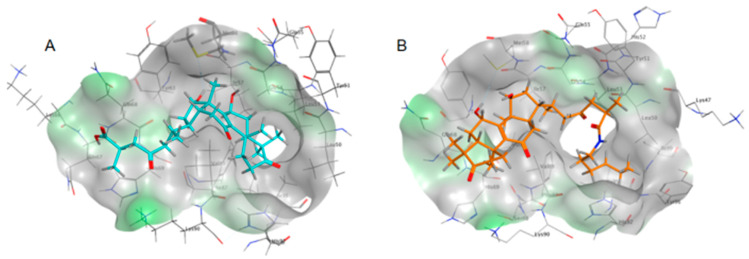 Figure 6