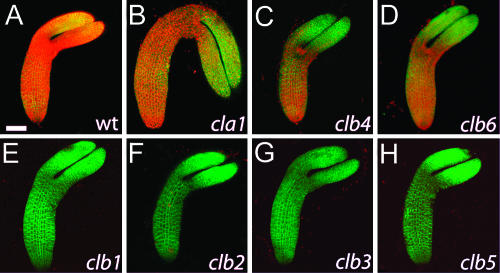 Figure 6.