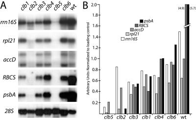 Figure 5.