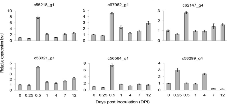 Fig 6