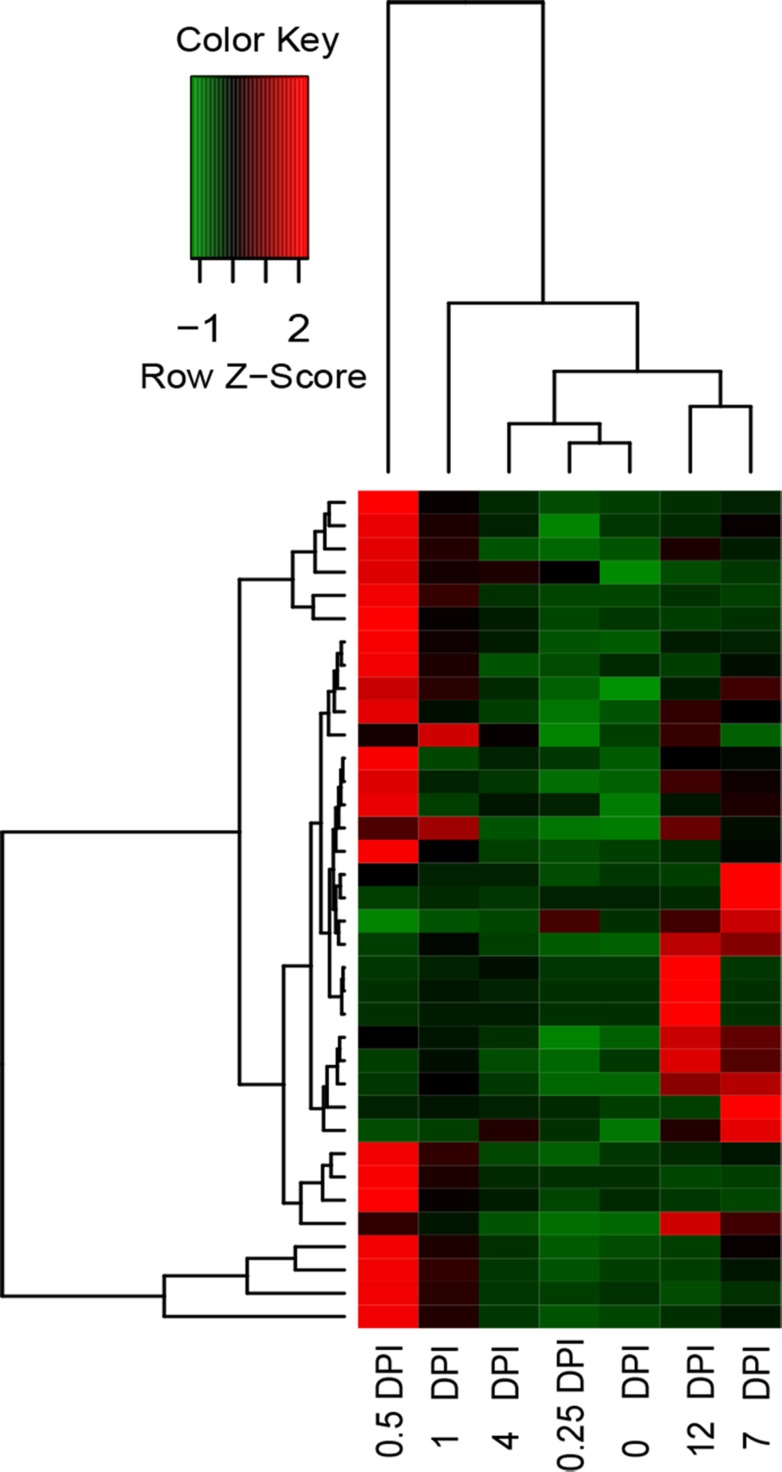 Fig 7