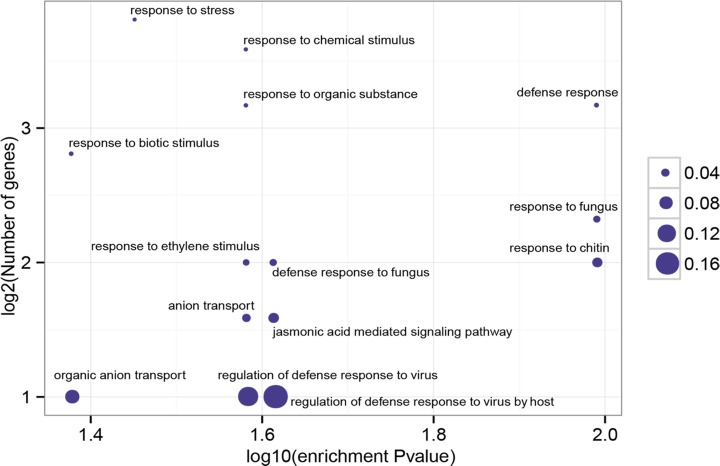 Fig 4