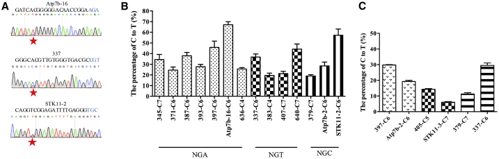 Figure 2