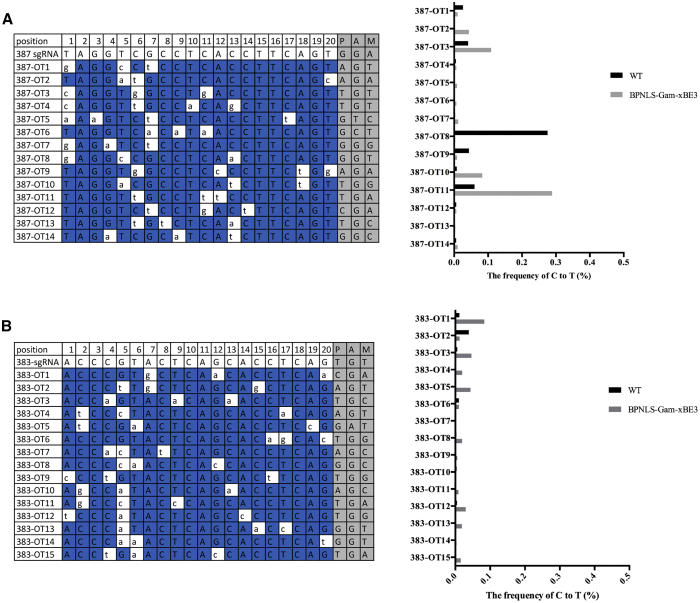 Figure 5