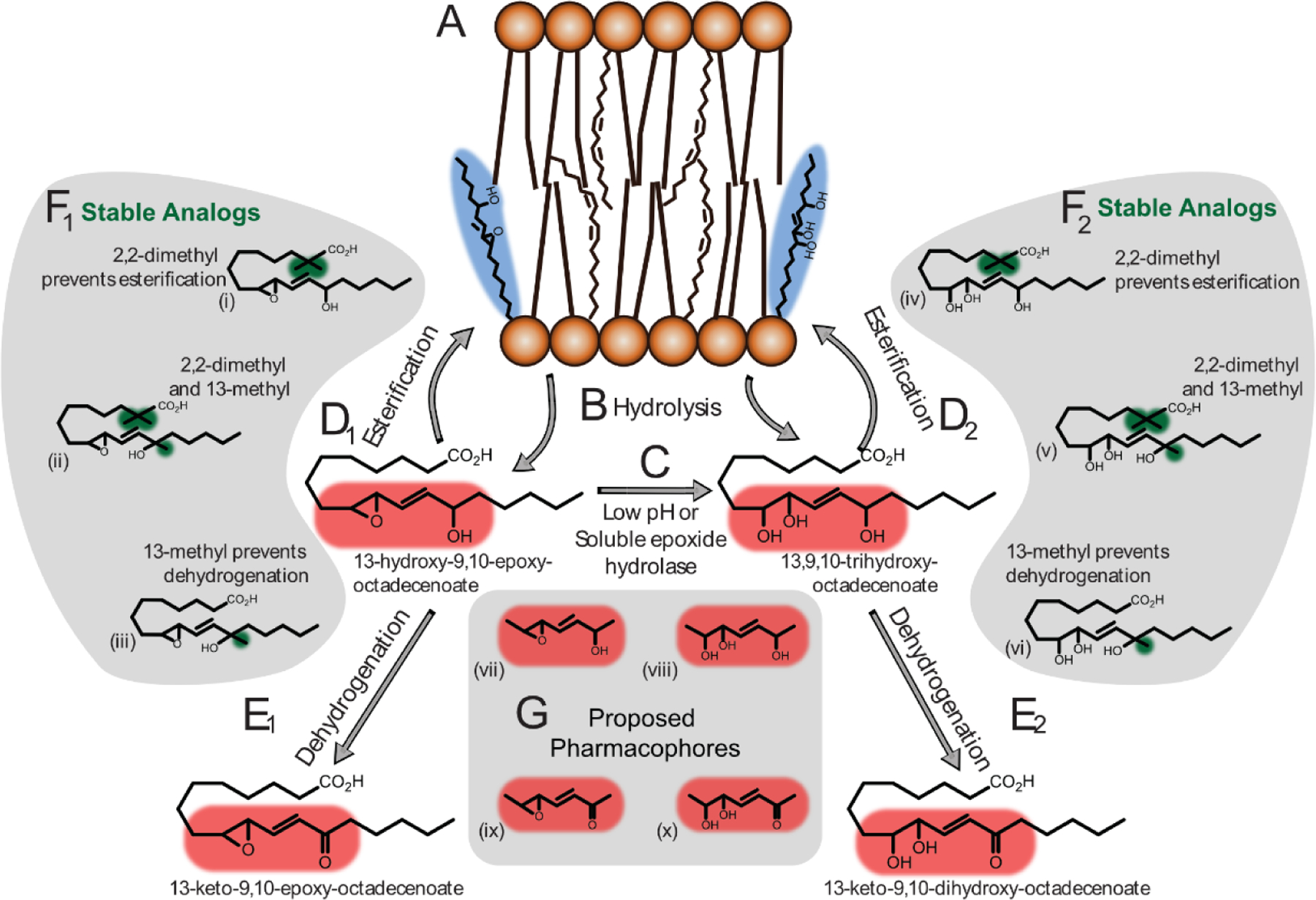 Figure 2b-