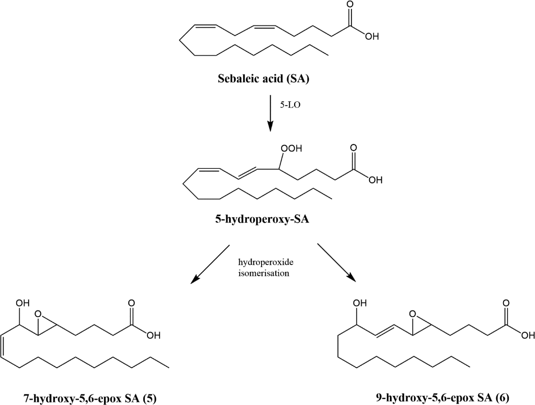 Figure 3-