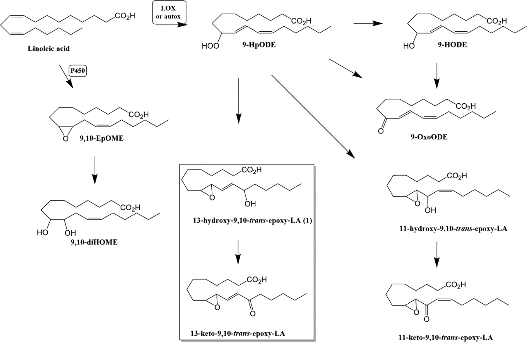 Figure 1-