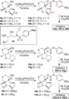 Scheme 5