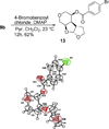 Scheme 4