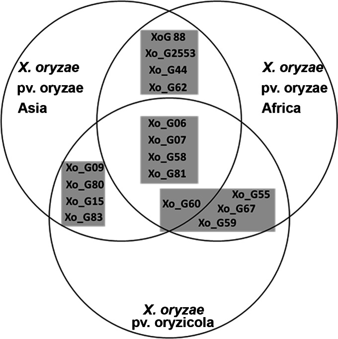 FIG 1