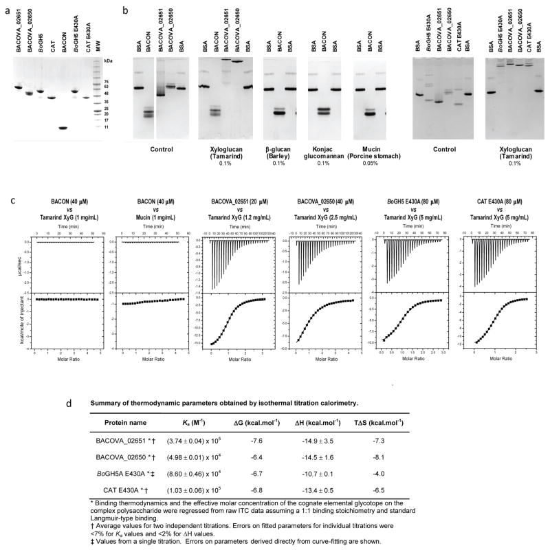 Figure ED4