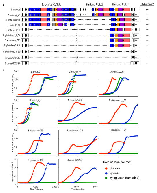 Figure ED1