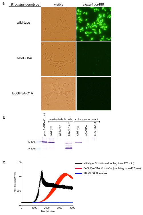 Figure ED3