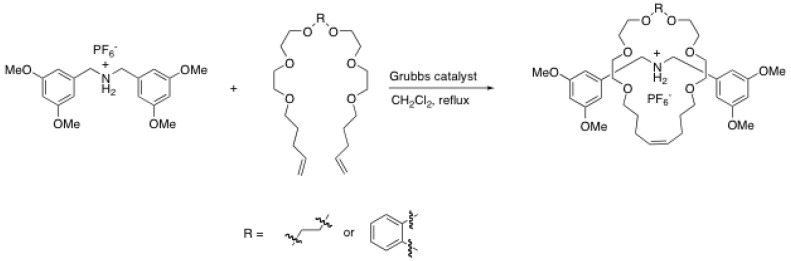 Scheme 15