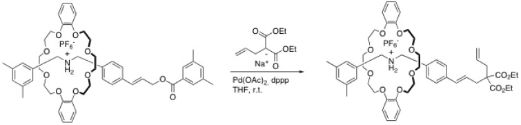 Scheme 7