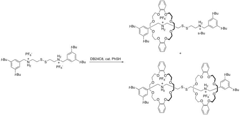 Scheme 5