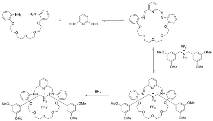 Scheme 14