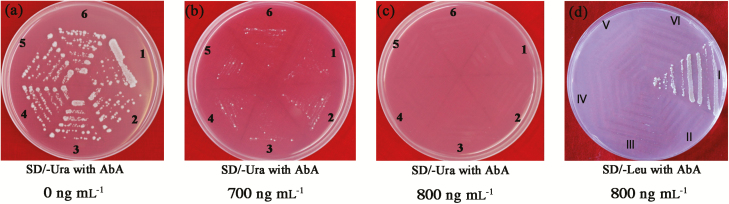 Fig. 4.