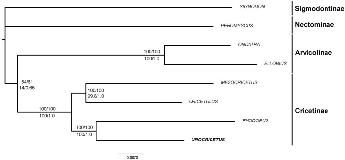 Figure 5