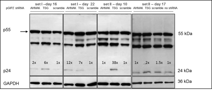 Fig. S3