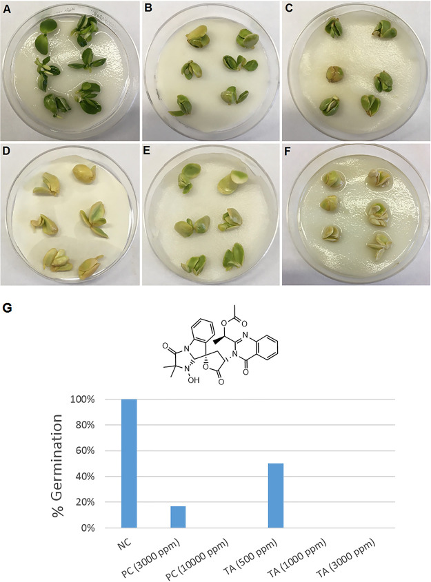 FIG 1