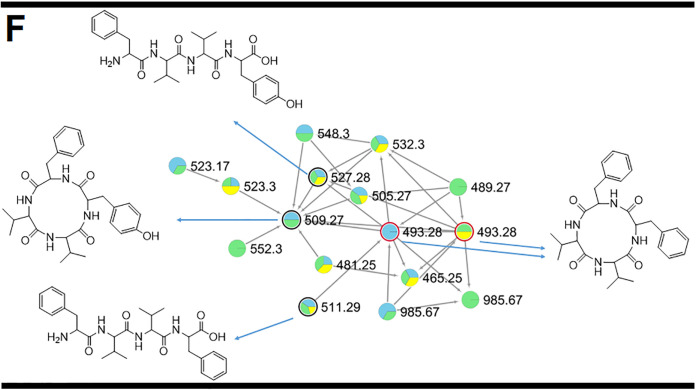 FIG 7