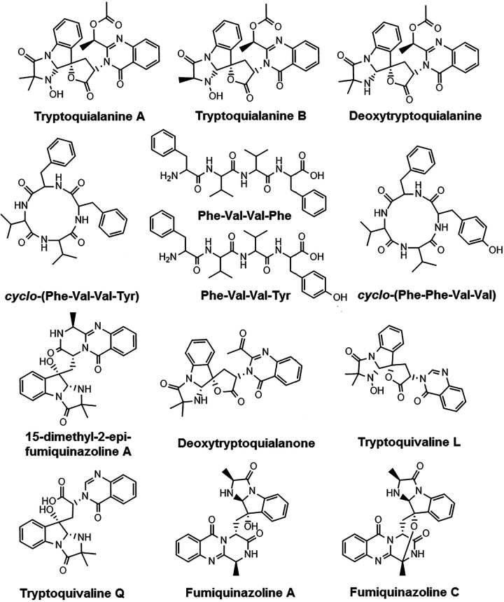 FIG 8