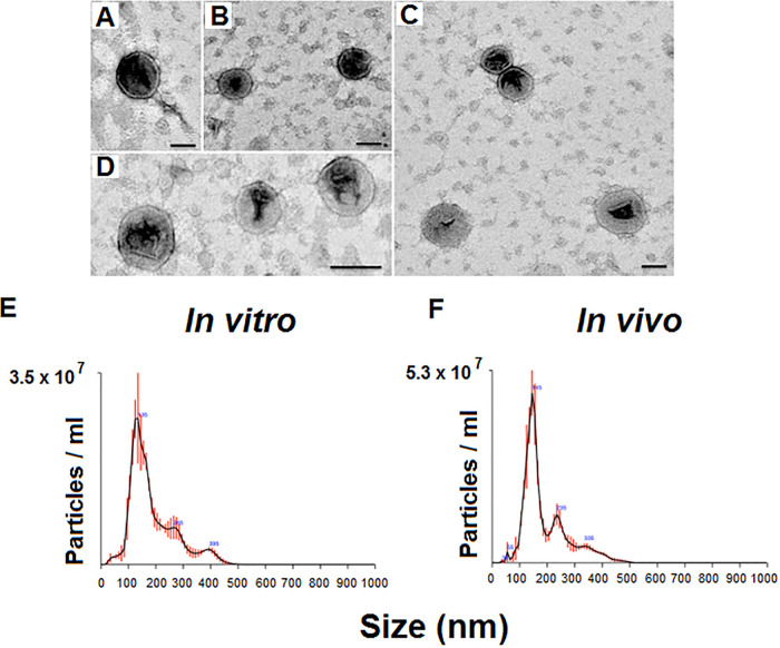 FIG 3