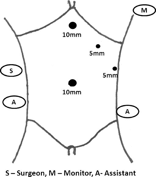 Fig. 1