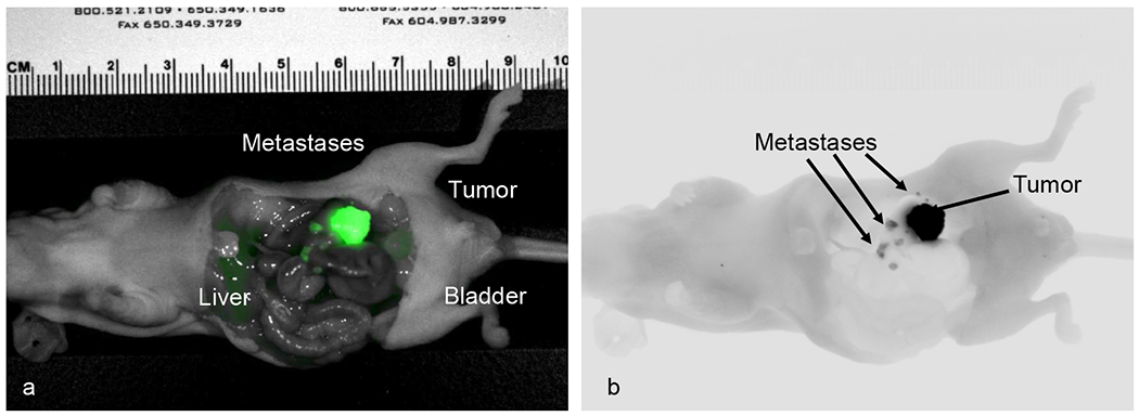 Figure 3: