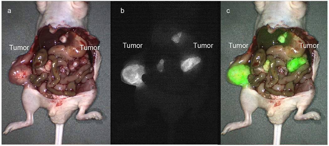 Figure 4: