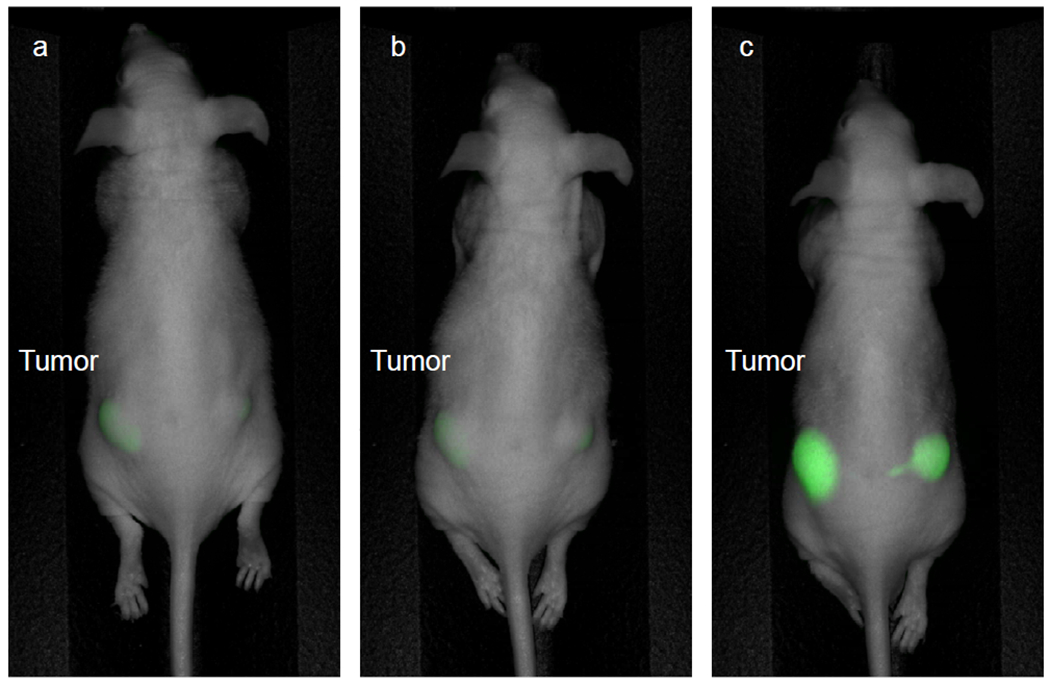 Figure 2: