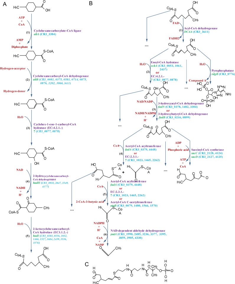 Fig 6