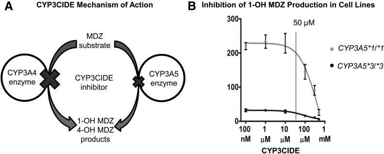 Fig. 8.