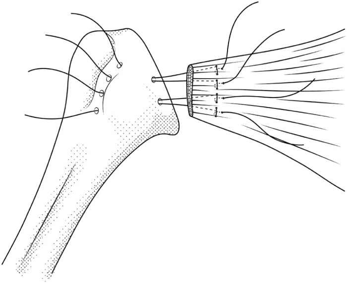 Figure 2