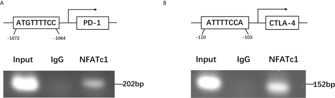 Figure 6