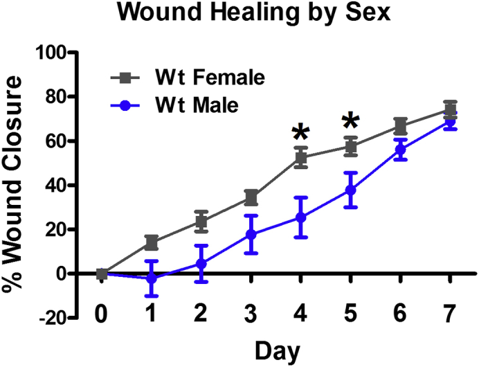 Figure 4