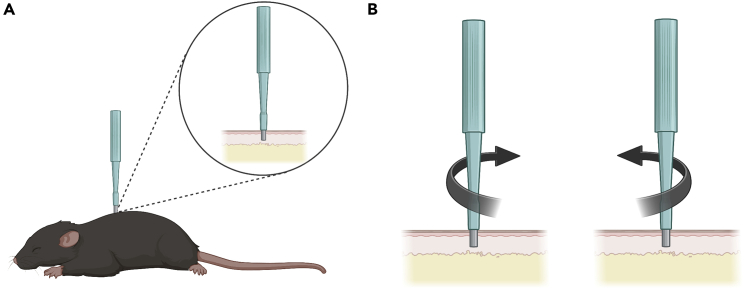 Figure 1