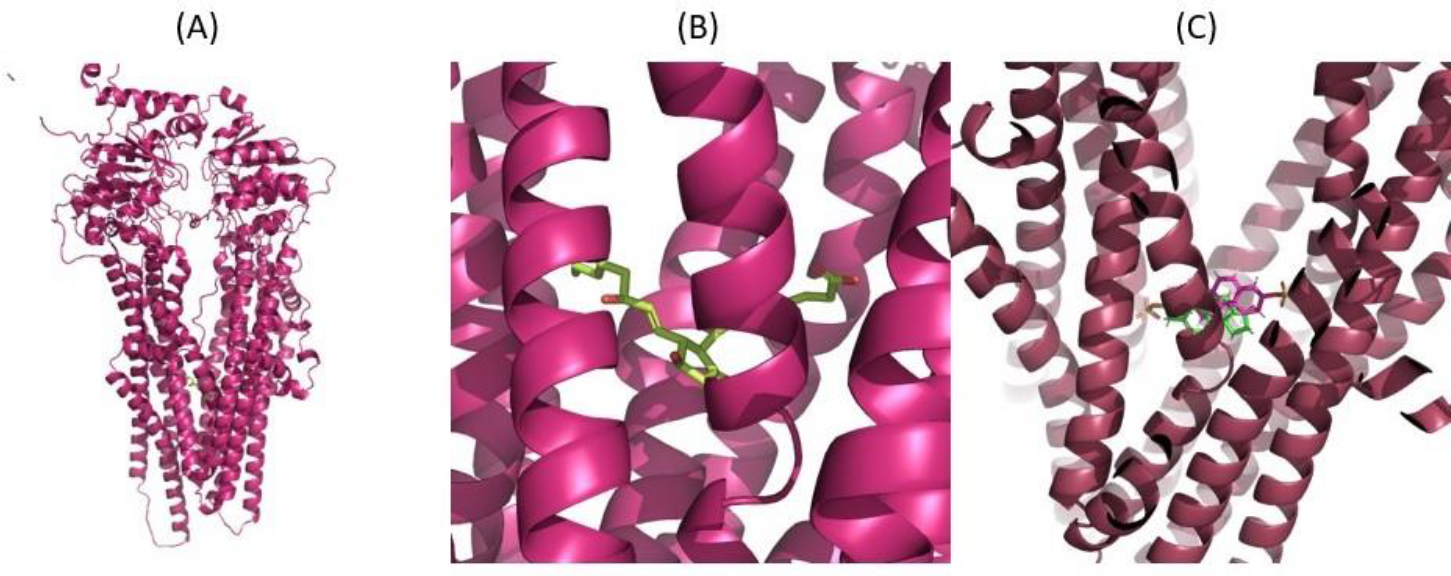 Figure 2.