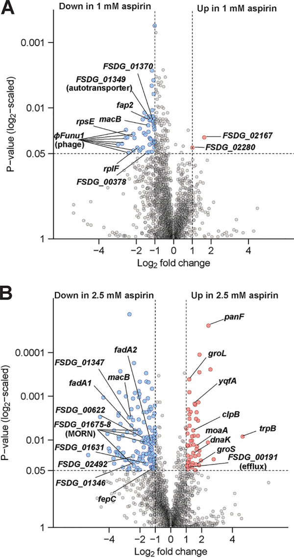 FIG 2