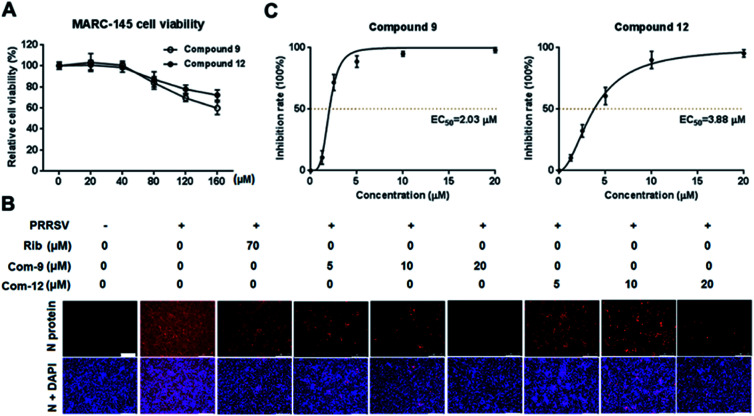 Fig. 2