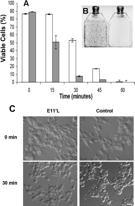 Fig 3.