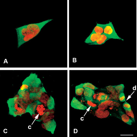 Fig 1.