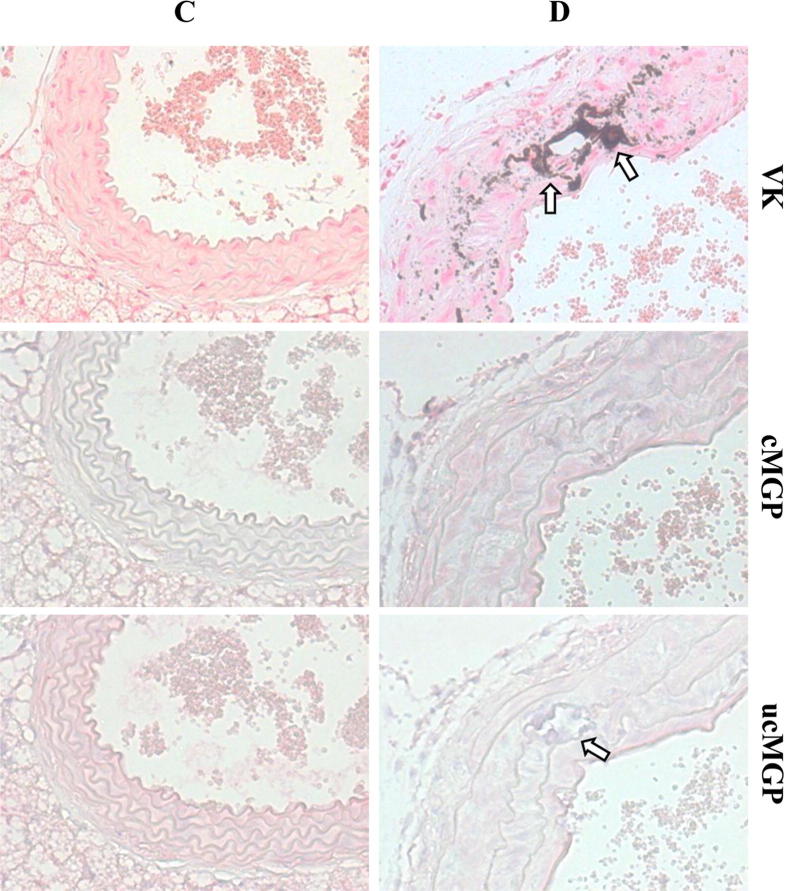 Figure 7