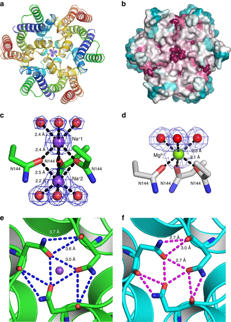 Figure 7