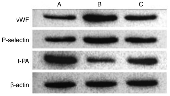 Figure 16