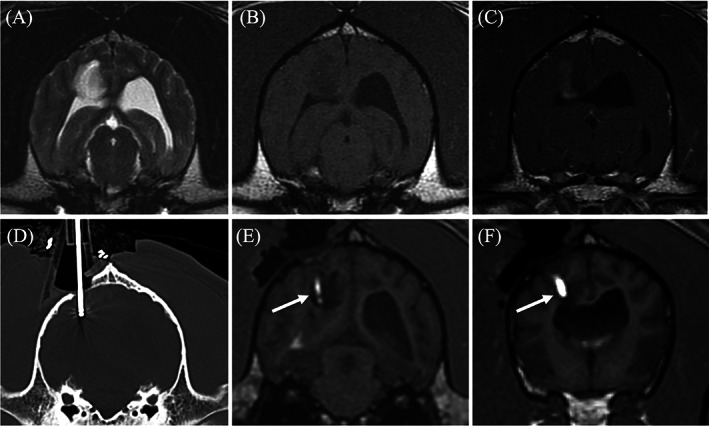 FIGURE 3