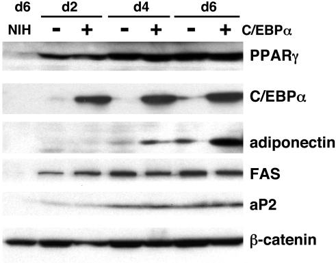 FIG. 7.