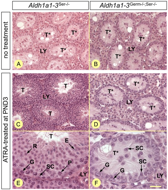 Fig. 9.