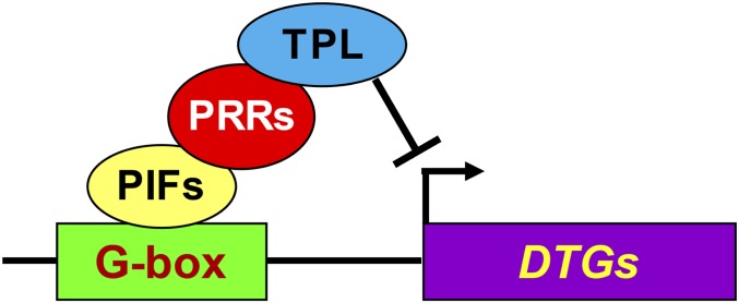 Fig. 8.